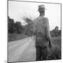 African-American on cotton patch in Mississippi, 1936-Dorothea Lange-Mounted Photographic Print