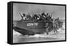 African American Sailors Training for Amphibious Landings at Near Norfolk-null-Framed Stretched Canvas