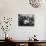 African American Soldiers and Sailors Playing Cards at the USO Recreation Center-null-Photographic Print displayed on a wall