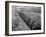 African American Soldiers Training at Fort Huachuca-null-Framed Photo