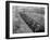 African American Soldiers Training at Fort Huachuca-null-Framed Photo