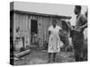 African-American Student and Leader of Lunch Counter Sit-Ins, Virginies Thornton, Standing at Home-null-Stretched Canvas