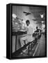 African American Student Virginius B. Thornton During a Sit Down Strike at a Lunch Counter-Howard Sochurek-Framed Stretched Canvas