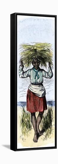 African-American Woman Carrying Sheaves on a Rice Plantation-null-Framed Stretched Canvas