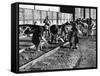 African American Women Working on a Railroad Crew-null-Framed Stretched Canvas