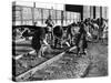 African American Women Working on a Railroad Crew-null-Stretched Canvas