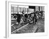 African American Women Working on a Railroad Crew-null-Framed Photo