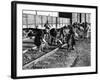 African American Women Working on a Railroad Crew-null-Framed Photo