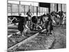 African American Women Working on a Railroad Crew-null-Mounted Photo