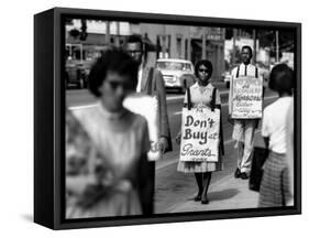 African Americans Connected with Core and Naacp Picketing Grants and its Lunch Counter-null-Framed Stretched Canvas