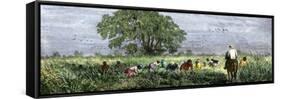 African-Americans Cutting Rice in Louisiana, Supervised by an Overseer on Horseback-null-Framed Stretched Canvas