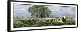 African-Americans Cutting Rice in Louisiana, Supervised by an Overseer on Horseback-null-Framed Giclee Print