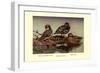 African and Meller's Ducks-Allan Brooks-Framed Art Print