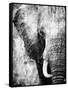 African Animals I - Grey-Eric Yang-Framed Stretched Canvas