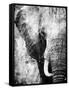 African Animals I - Grey-Eric Yang-Framed Stretched Canvas