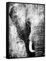 African Animals I - Grey-Eric Yang-Framed Stretched Canvas