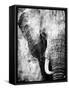 African Animals I - Grey-Eric Yang-Framed Stretched Canvas