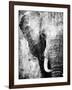 African Animals I - Grey-Eric Yang-Framed Art Print