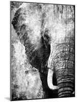 African Animals I - Grey-Eric Yang-Mounted Art Print