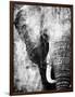 African Animals I - Grey-Eric Yang-Framed Art Print