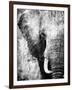 African Animals I - Grey-Eric Yang-Framed Art Print