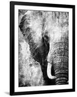 African Animals I - Grey-Eric Yang-Framed Art Print