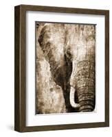 African Animals I - Sepia-Eric Yang-Framed Art Print