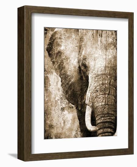 African Animals I - Sepia-Eric Yang-Framed Art Print