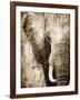 African Animals I - Sepia-Eric Yang-Framed Art Print