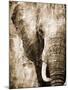 African Animals I - Sepia-Eric Yang-Mounted Art Print