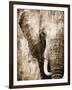 African Animals I - Sepia-Eric Yang-Framed Art Print