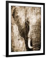 African Animals I - Sepia-Eric Yang-Framed Art Print