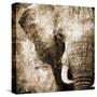 African Animals I - Sepia-Eric Yang-Stretched Canvas