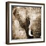 African Animals I - Sepia-Eric Yang-Framed Art Print