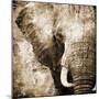 African Animals I - Sepia-Eric Yang-Mounted Art Print