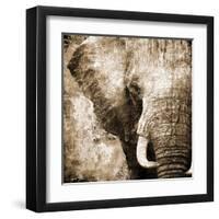 African Animals I - Sepia-Eric Yang-Framed Art Print