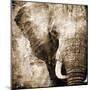 African Animals I - Sepia-Eric Yang-Mounted Art Print