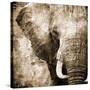 African Animals I - Sepia-Eric Yang-Stretched Canvas