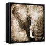 African Animals I - Sepia-Eric Yang-Framed Stretched Canvas