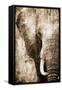 African Animals I - Sepia-Eric Yang-Framed Stretched Canvas