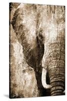 African Animals I - Sepia-Eric Yang-Stretched Canvas