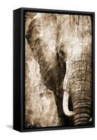 African Animals I - Sepia-Eric Yang-Framed Stretched Canvas