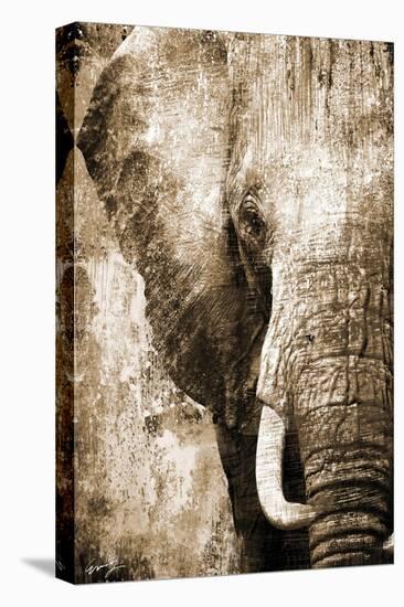 African Animals I - Sepia-Eric Yang-Stretched Canvas