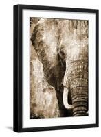 African Animals I - Sepia-Eric Yang-Framed Art Print