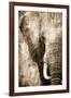 African Animals I - Sepia-Eric Yang-Framed Art Print