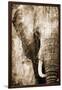 African Animals I - Sepia-Eric Yang-Framed Art Print