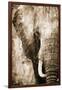 African Animals I - Sepia-Eric Yang-Framed Art Print