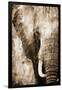 African Animals I - Sepia-Eric Yang-Framed Art Print