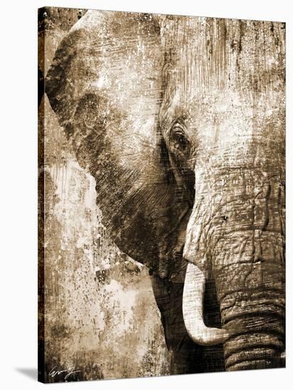 African Animals I - Sepia-Eric Yang-Stretched Canvas