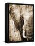 African Animals I - Sepia-Eric Yang-Framed Stretched Canvas